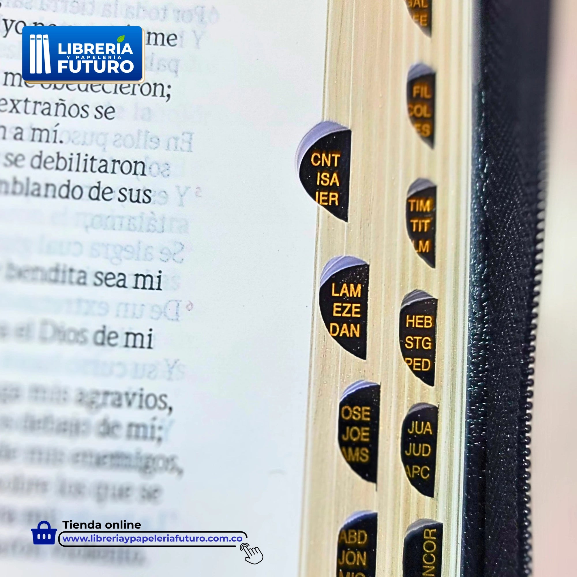 Biblia negra, en tamaño y letra pequeña con cremallera e índice (versión de lujo)